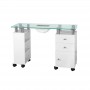 DESK GLASS WITH ABSORBER. 013B WHITE