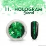 11 Nr. Küünepuuder Hologrammi saladus