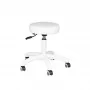 Cosmetic stool AM-303-2 white