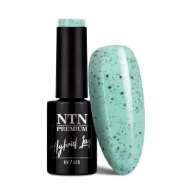 NTN Premium Sugar Puff Nr 183 / Gel nail polish 5ml