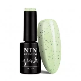 NTN Premium Sugar Puff Nr 184 / Gel nail polish 5ml