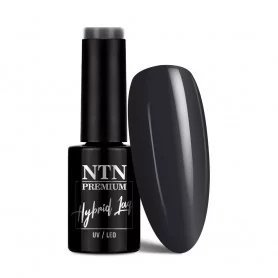 Ntn Premium Romantica Nr 101 / Gel nail polish 5ml