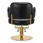 Парикмахерское кресло Hair System Linz золото черный