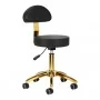 Cosmetic stool AM-304G, black gold