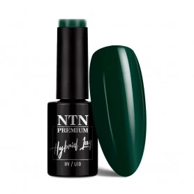 NTN Premium After Midnight Collection 5G NR 71 / Żelowy lakier do paznokci 5 ml