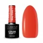 Stay Cozy 5 CLARESA / Gel nail polish 5ml
