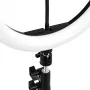 Ring lamp GLOW 10" bsc with stand 10W
